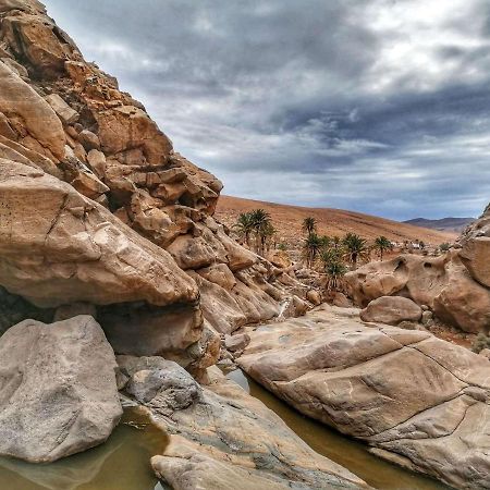 شقة Pax Et Bonum Parque Holandes المظهر الخارجي الصورة